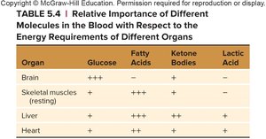 Relative importance of energy sources by organ