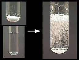 Enthalpy changes in chemical reactions