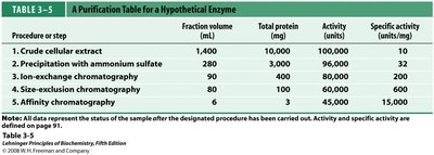 Purification table for a hypothetical enzyme