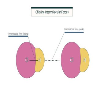 Chlorine intermolecular forces