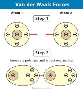 Van der Waals forces between atoms