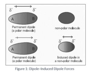 Dipole-induced dipole forces