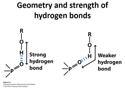Geometry and strength of hydrogen bonds