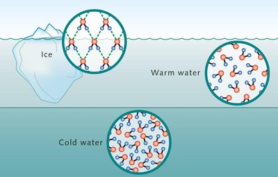 Water as a molecular lattice