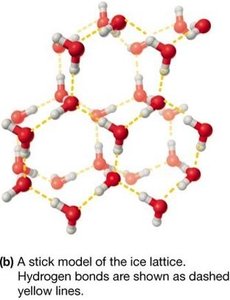 Stick model of ice lattice