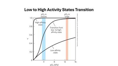 Low to High Activity States Transition