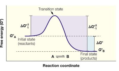 Reaction coordinate diagram showing transition state