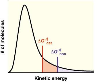 Effect of temperature on kinetic energy distribution