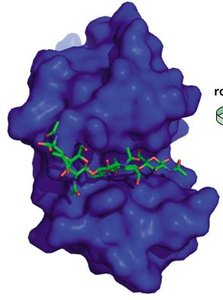Michaelis-Menten equation and plot