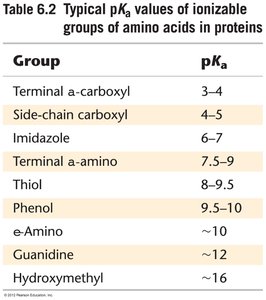 Typical pKa values of ionizable groups in proteins
