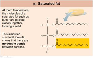 Saturated fat structure