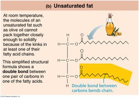 Unsaturated fat structure