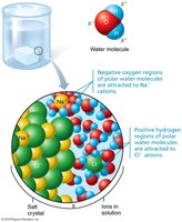 Dissociation of salt in water