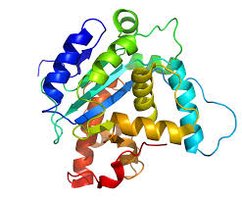Structure of amino acid and dipeptide