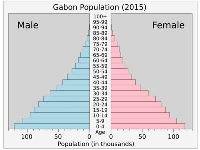 Population pyramid example