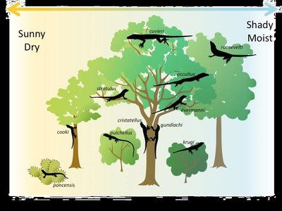 Table of interspecific interactions