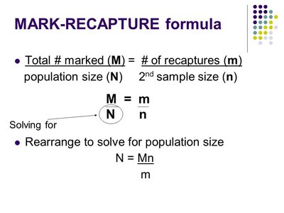 Mark-recapture formula and explanation