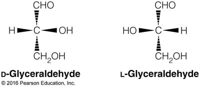 D- and L-glyceraldehyde structures