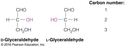 D- and L-glyceraldehyde with highlighted chiral center