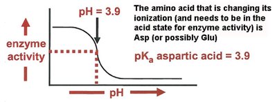 Graph showing enzyme activity as a function of pH, with pKa of aspartic acid