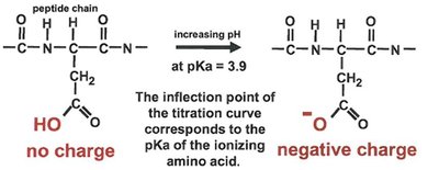 Titration curve for aspartic acid side chain, showing inflection at pKa