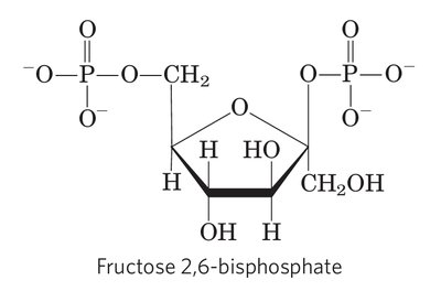 FBPase-1 activity vs. F2,6BP