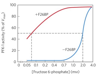 Regulation diagram