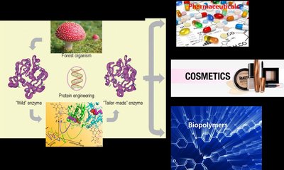 Protein engineering applications