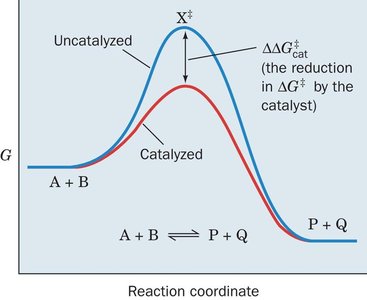 Catalyzed vs uncatalyzed reaction diagram