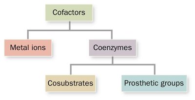 Cofactor classification