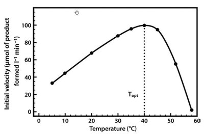 Effect of temperature on enzyme activity