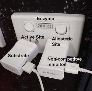 Enzyme inhibition analogy