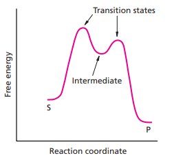 Reaction coordinate diagram showing ES complex and transition states