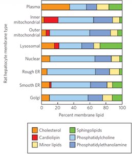 Membrane lipid distribution by organelle