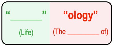 Prefix and suffix of biology