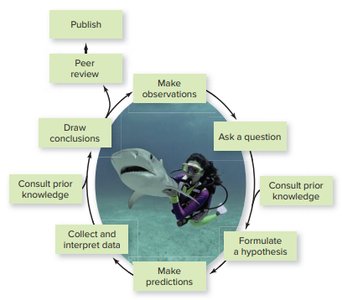 Scientific method cycle