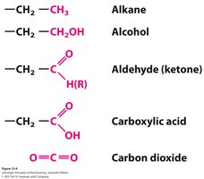 Oxidation states of carbon