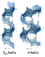310 helix and π helix comparison