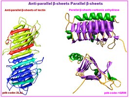 β-sheet protein structures