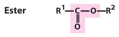 Hydrogen bonding in DNA base pairs