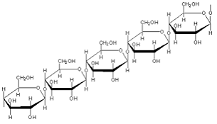 Glycosidic bond formation