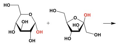 Disaccharide formation