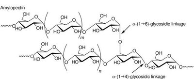 Glycogen structure