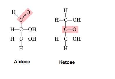 Aldose and Ketose structures