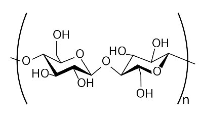 Cellulose in plant cell wall