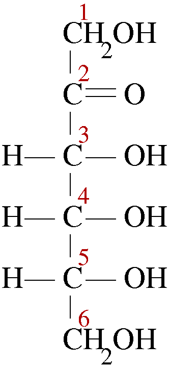 Fischer projection of glucose