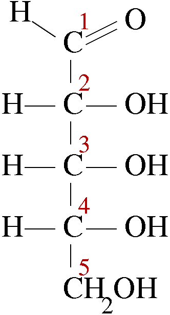 Fischer projection of ribose