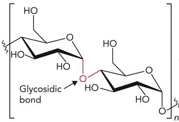 Polysaccharide polymer structure