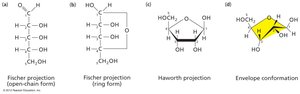 Different representations of ribose structure