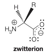 Zwitterion form of an amino acid